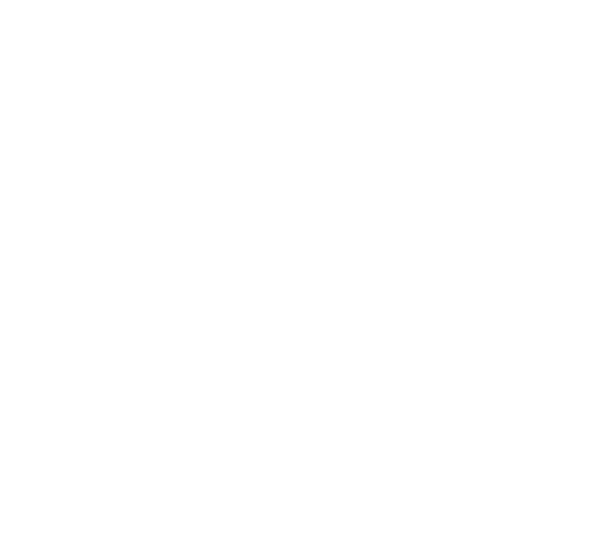 Full Throttle party hat