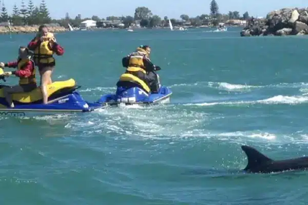 Things to do in Destin - Small Group Waverunner Dolphin Tour