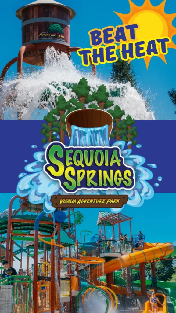 Soak Up the Fun at Sequoia Springs Water Park